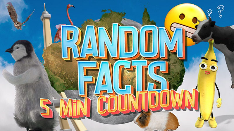 Random Facts 5-Minute Countdown